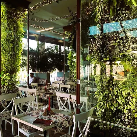 Appartement Sirius *